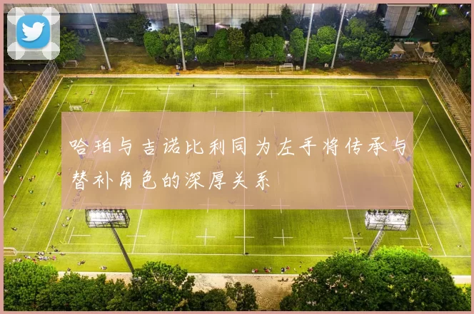 哈珀与吉诺比利同为左手将传承与替补角色的深厚关系